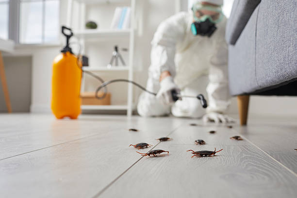 Commercial Kitchen Cockroach Control in McCalla